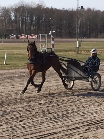 Julia Pellini 150318