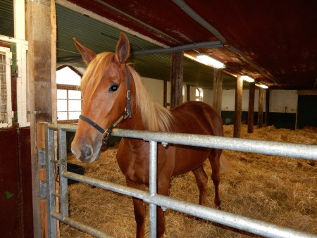 Going to press okt-14