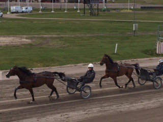 träning på halmstad april-15 In håleryd och Calvados In