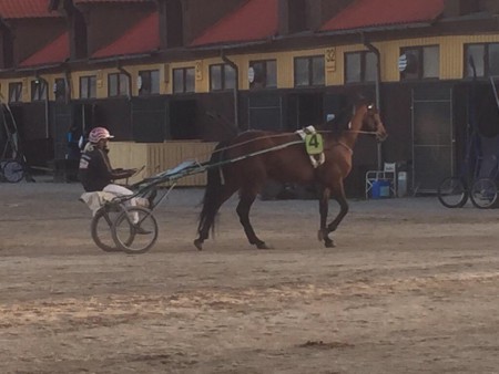 Kemas Magic inför värmning Solvalla 150506